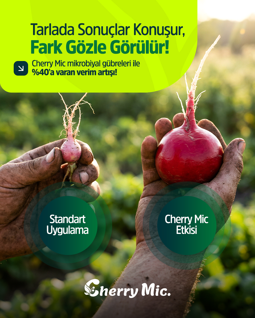 Cherry Mic. I Sosyal Medya Tasarımları görsel 2